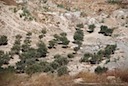 DSC_5905.JPG