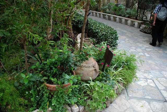 DSC_6404.JPG