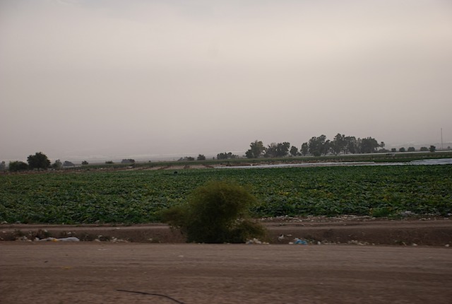DSC_6485