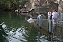 DSC_6591.JPG