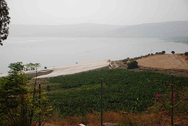 DSC_6664.JPG