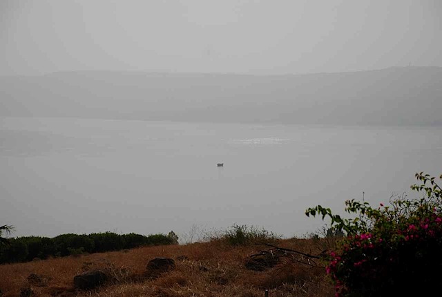DSC_6670.JPG