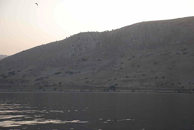 DSC_6783.JPG