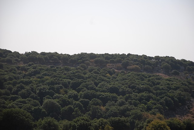 DSC_6958