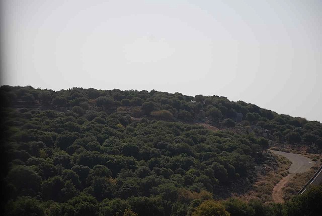 DSC_6959.JPG