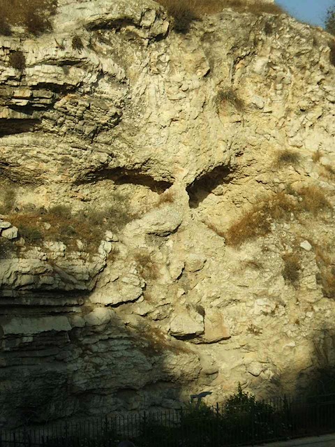 DSCF0605.JPG