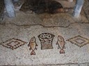 DSCF0653.JPG