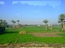 DSCF1117