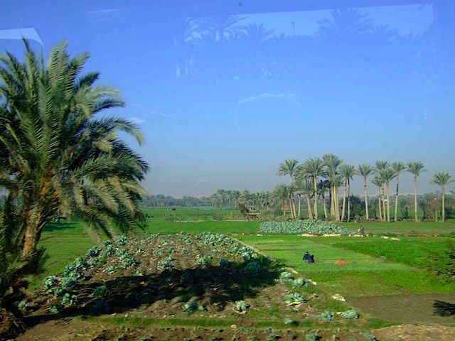 DSCF1118