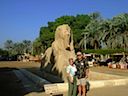 DSCF1133