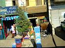 DSCF1140