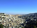DSCF1446.JPG