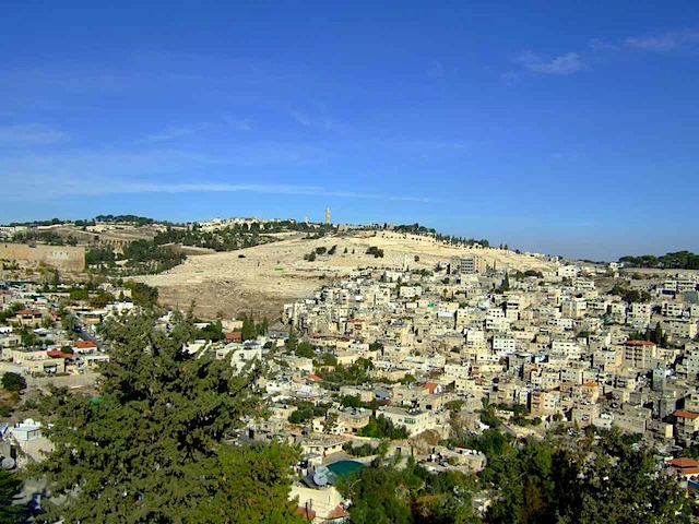 DSCF1450.JPG
