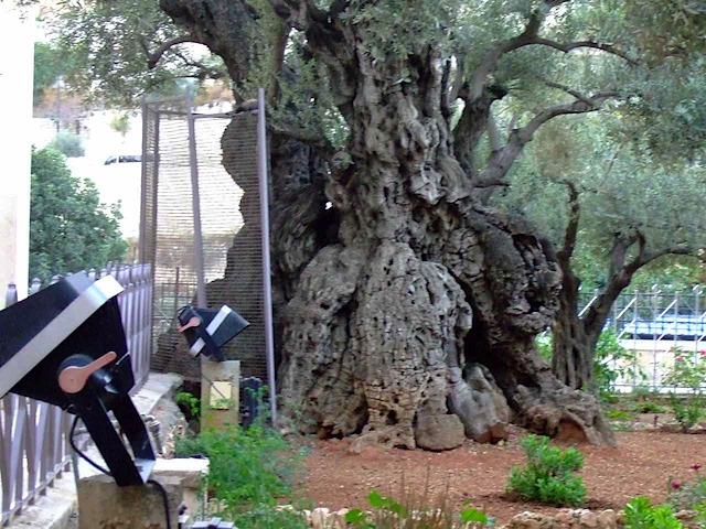 DSCF1493.JPG