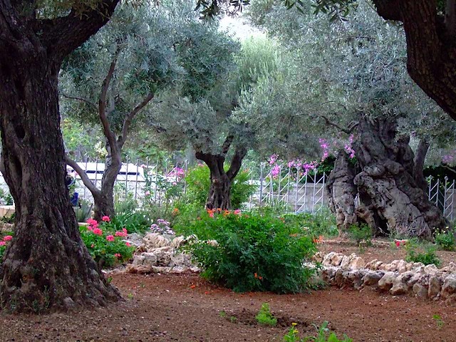 DSCF1494.JPG