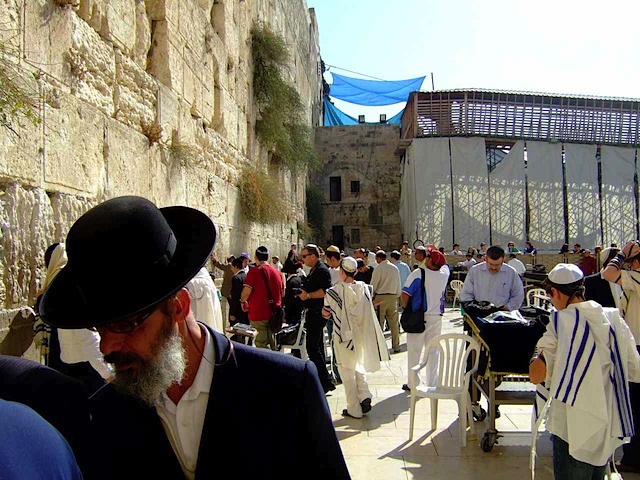 DSCF1584.JPG