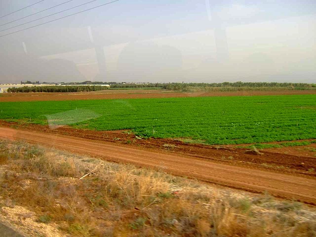 DSCF1627.JPG