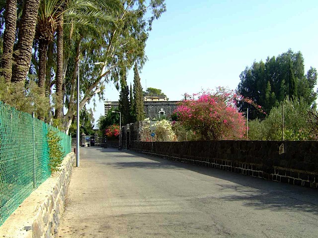 DSCF1656.JPG