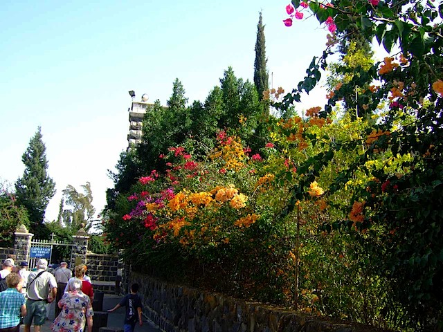 DSCF1657.JPG