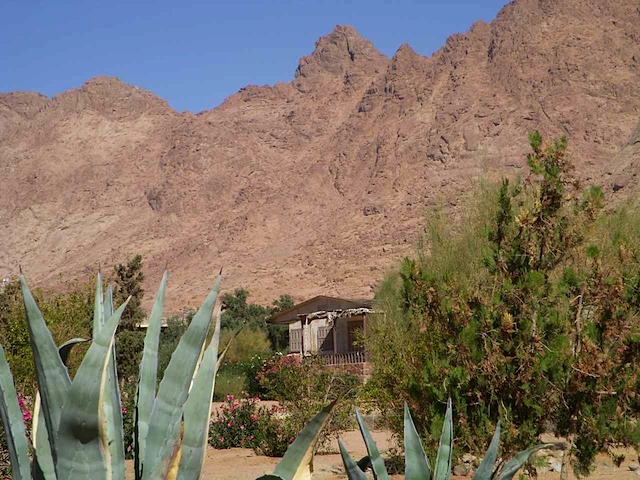 DSCN0313.JPG