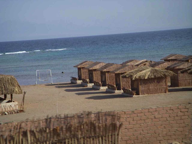 DSCN0331.JPG