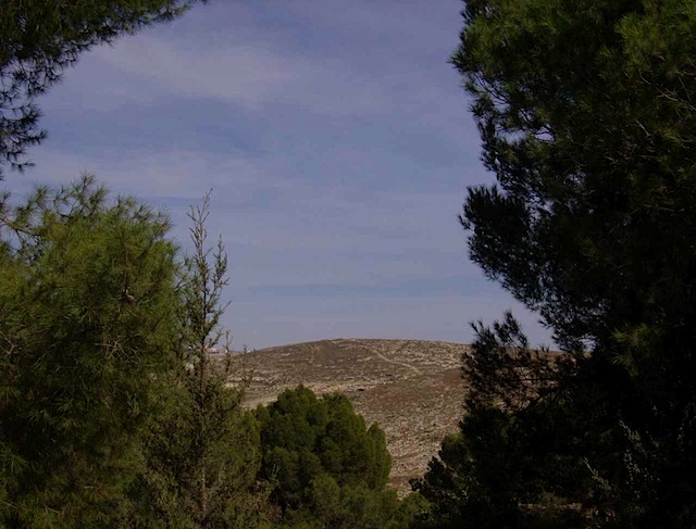 HPIM0701.JPG
