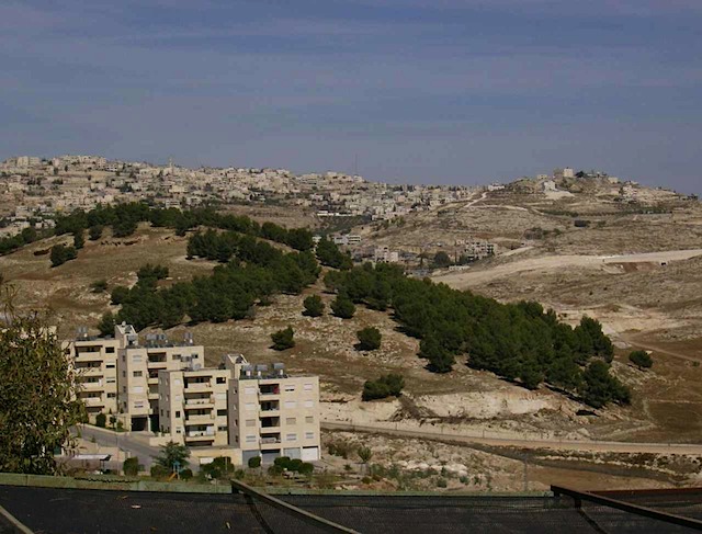 HPIM0704.JPG