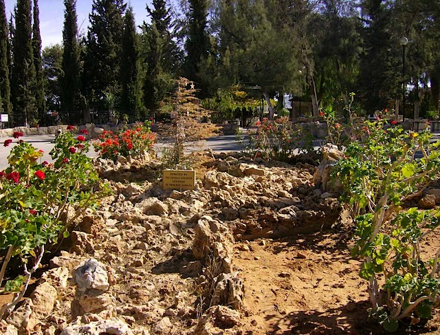 HPIM0705.JPG