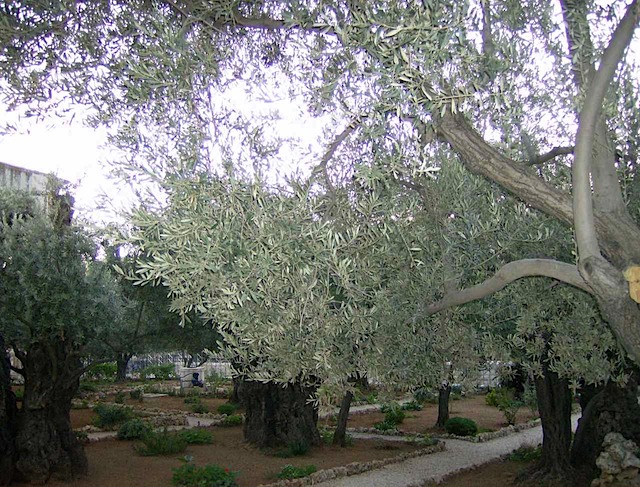 HPIM0791.JPG