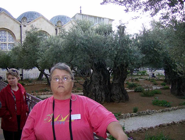 HPIM0792.JPG