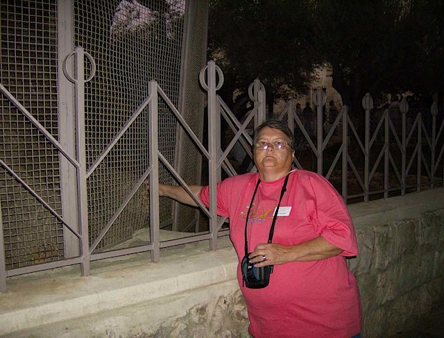 HPIM0808.JPG