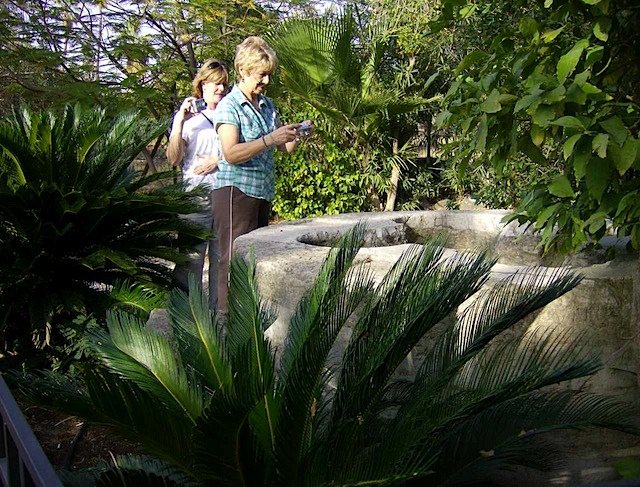 HPIM0984.JPG