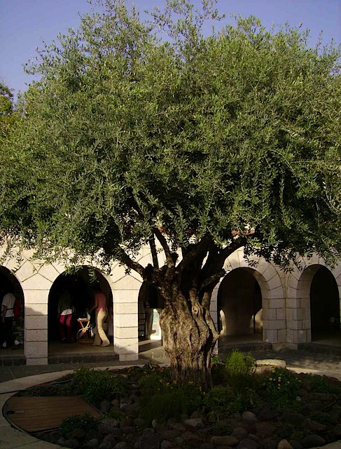 HPIM0987.JPG
