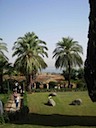 IMG_0908.JPG