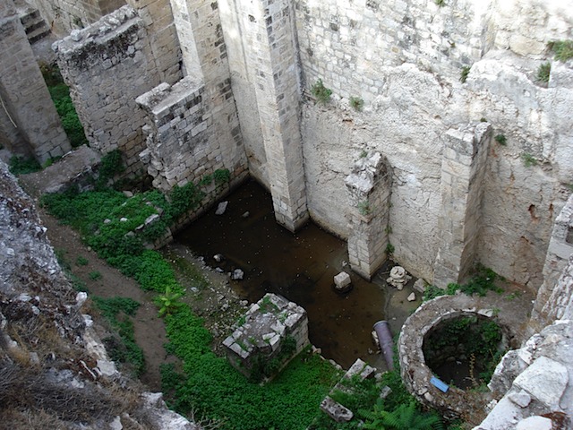 Middle East Vacation 349