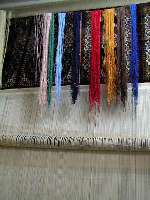 PICT0116.JPG