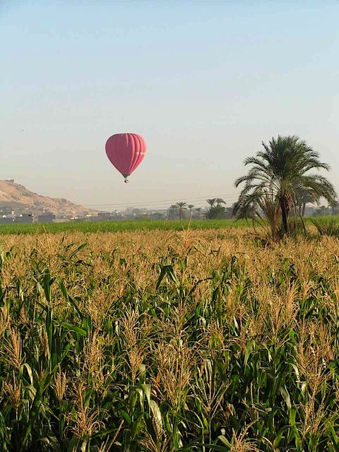PICT0159.JPG
